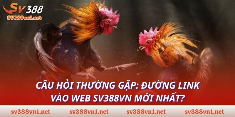 Câu hỏi thường gặp: Đường link vào web SV388VN mới nhất?